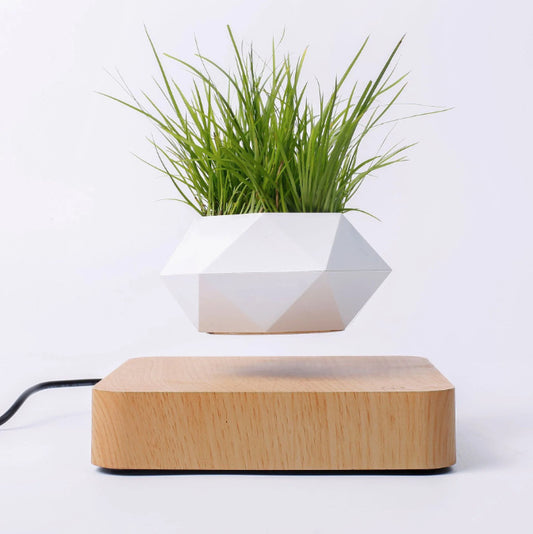 Indoor Levitating Air Bonsai Plant Pot