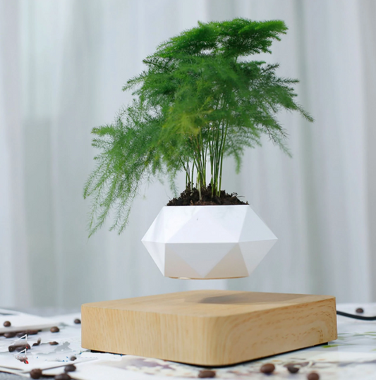 Indoor Levitating Air Bonsai Plant Pot