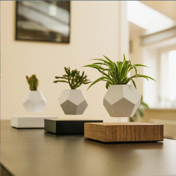 Indoor Levitating Air Bonsai Plant Pot