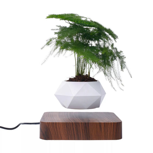 Magnetic Air Bonsai - Levitating Bonsai Planter