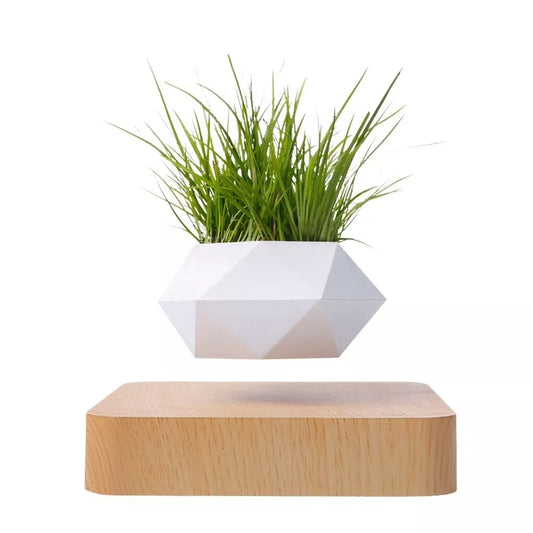 Magnetic Air Bonsai - Levitating Bonsai Planter